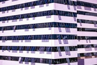 星空体育官网首页-体育新闻中心建设体育数字内容版权保护体系，体育数据新闻